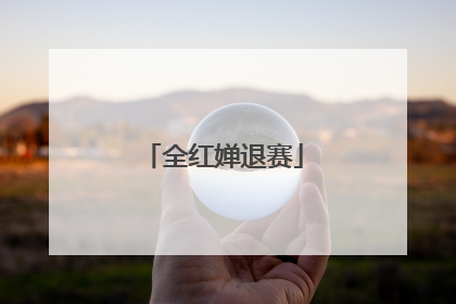 全红婵退赛