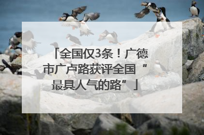 全国仅3条！广德市广卢路获评全国“最具人气的路”