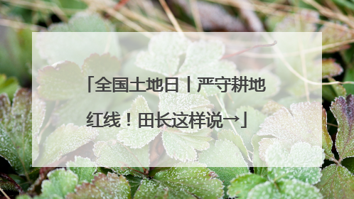 全国土地日丨严守耕地红线！田长这样说→