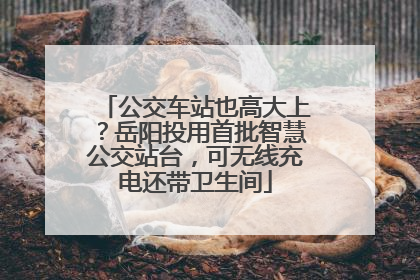 公交车站也高大上？岳阳投用首批智慧公交站台，可无线充电还带卫生间