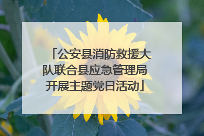 公安县消防救援大队联合县应急管理局开展主题党日活动
