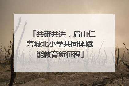 共研共进，眉山仁寿城北小学共同体赋能教育新征程