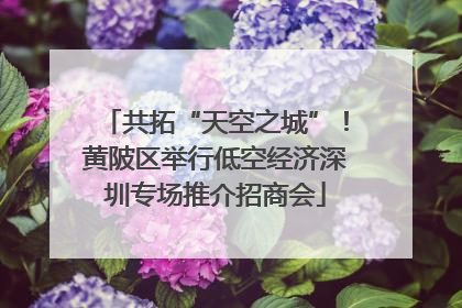 共拓“天空之城”！黄陂区举行低空经济深圳专场推介招商会