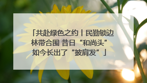共赴绿色之约丨民勤锁边林带合围 昔日“和尚头”如今长出了“披肩发”