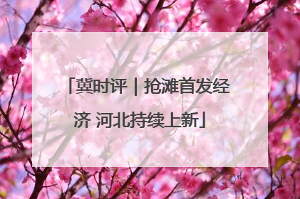 冀时评｜抢滩首发经济 河北持续上新
