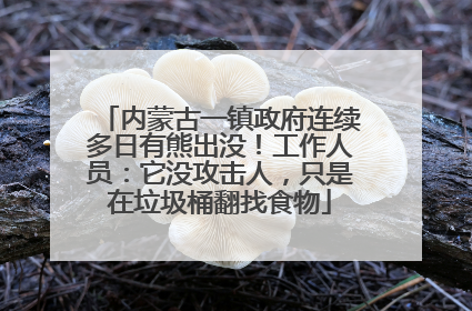 内蒙古一镇政府连续多日有熊出没！工作人员：它没攻击人，只是在垃圾桶翻找食物
