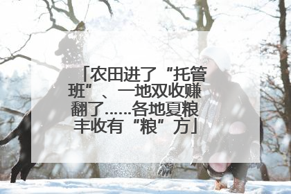 农田进了“托管班”、一地双收赚翻了……各地夏粮丰收有“粮”方