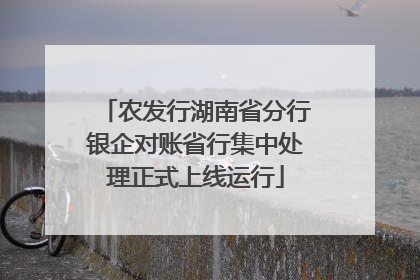 农发行湖南省分行银企对账省行集中处理正式上线运行