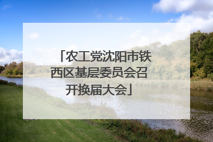 农工党沈阳市铁西区基层委员会召开换届大会