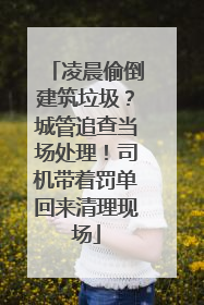 凌晨偷倒建筑垃圾？城管追查当场处理！司机带着罚单回来清理现场