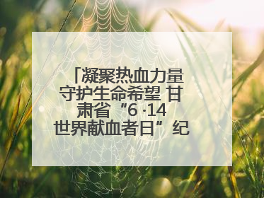 凝聚热血力量 守护生命希望 甘肃省“6 ·14世界献血者日”纪念活动在兰举行