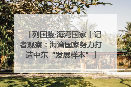 列国鉴·海湾国家丨记者观察：海湾国家努力打造中东“发展样本”
