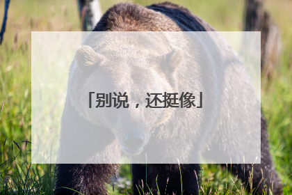 别说，还挺像