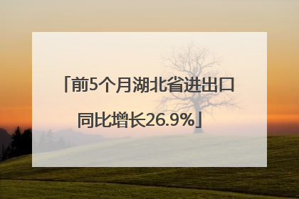 前5个月湖北省进出口同比增长26.9%