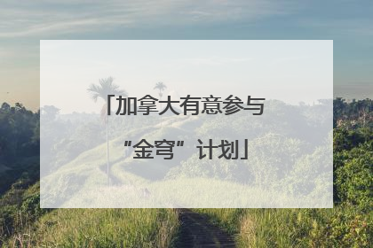 加拿大有意参与“金穹”计划