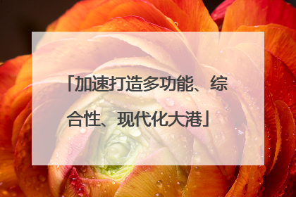 加速打造多功能、综合性、现代化大港