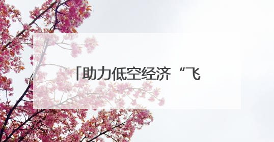 助力低空经济“飞”更高！蓝天实验室定下“计划表”→
