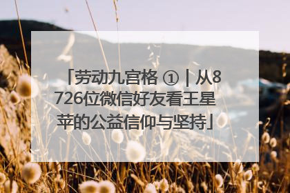 劳动九宫格 ①｜从8726位微信好友看王星苹的公益信仰与坚持