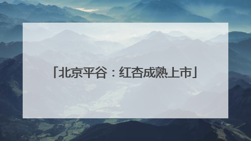 北京平谷：红杏成熟上市