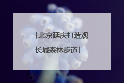 北京延庆打造观长城森林步道