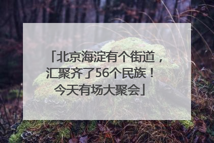 北京海淀有个街道，汇聚齐了56个民族！今天有场大聚会