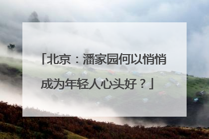 北京：潘家园何以悄悄成为年轻人心头好？