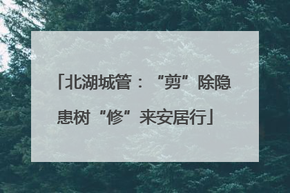 北湖城管：“剪”除隐患树“修”来安居行