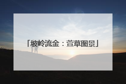 坡岭流金：萱草图景