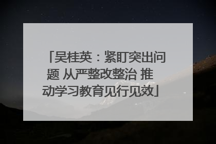 吴桂英：紧盯突出问题 从严整改整治 推动学习教育见行见效