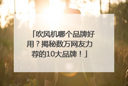 吹风机哪个品牌好用？揭秘数万网友力荐的10大品牌！
