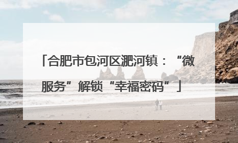 合肥市包河区淝河镇：“微服务”解锁“幸福密码”