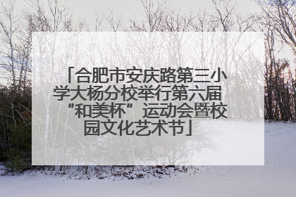 合肥市安庆路第三小学大杨分校举行第六届“和美杯”运动会暨校园文化艺术节