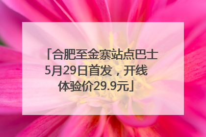 合肥至金寨站点巴士5月29日首发，开线体验价29.9元