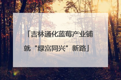 吉林通化蓝莓产业铺就“绿富同兴”新路