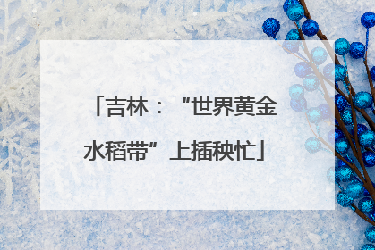 吉林：“世界黄金水稻带”上插秧忙