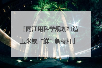同江用科学规划打造玉米锁“鲜”新标杆