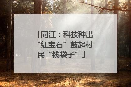同江：科技种出“红宝石”鼓起村民“钱袋子”
