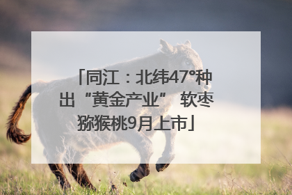 同江：北纬47°种出“黄金产业” 软枣猕猴桃9月上市