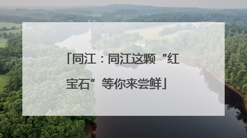 同江：同江这颗“红宝石”等你来尝鲜
