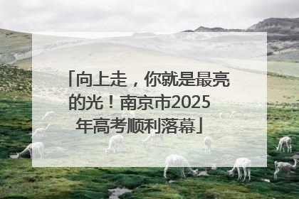 向上走，你就是最亮的光！南京市2025年高考顺利落幕
