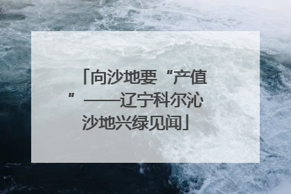 向沙地要“产值”——辽宁科尔沁沙地兴绿见闻