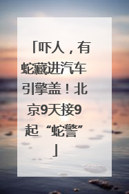 吓人，有蛇藏进汽车引擎盖！北京9天接9起“蛇警”
