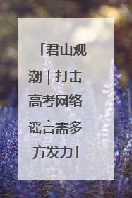 君山观潮｜打击高考网络谣言需多方发力