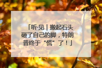 听·见｜搬起石头砸了自己的脚，特朗普终于“慌”了！