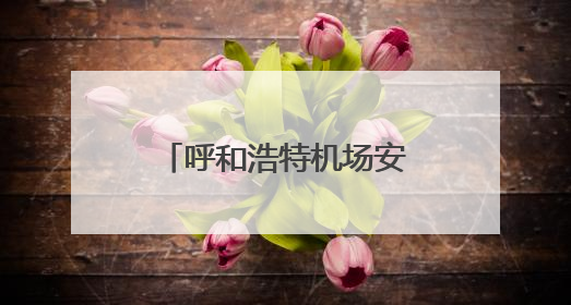 呼和浩特机场安检护卫部开展人身检查专项培训