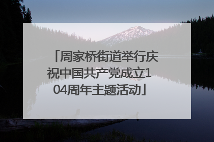 周家桥街道举行庆祝中国共产党成立104周年主题活动