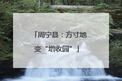 周宁县：方寸地变“增收园”
