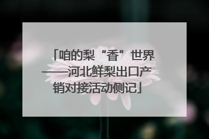 咱的梨“香”世界——河北鲜梨出口产销对接活动侧记