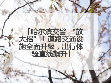 哈尔滨交警 “放大招”！道路交通设施全面升级，出行体验直线飙升