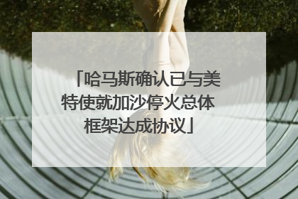 哈马斯确认已与美特使就加沙停火总体框架达成协议